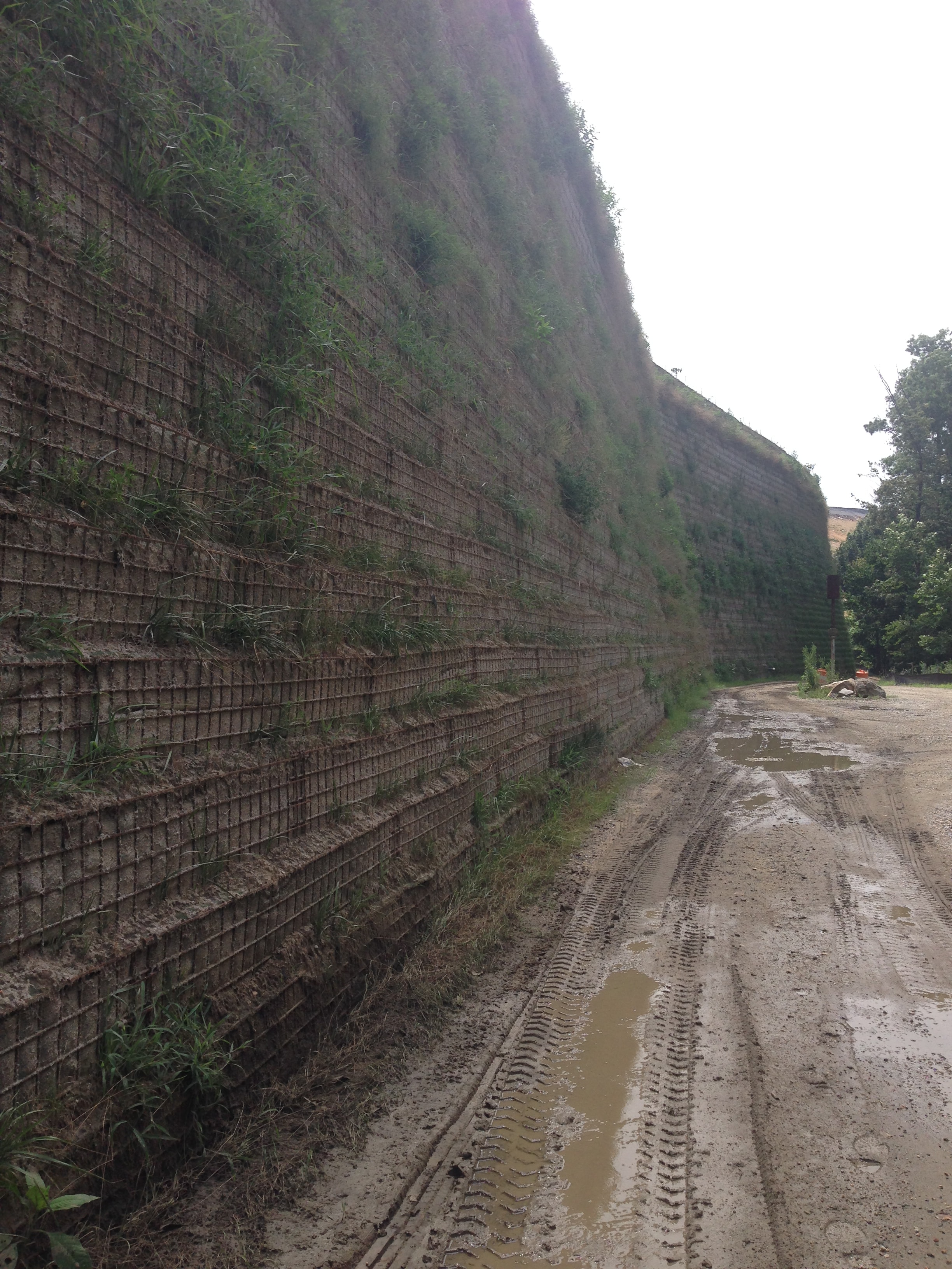 Completed eMSE retaining wall face with vegetation growth alongside access road